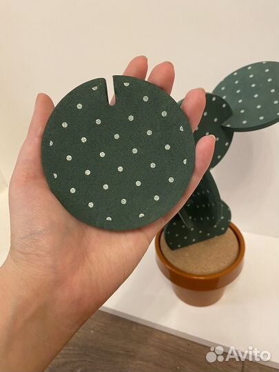 Декоративный кактус