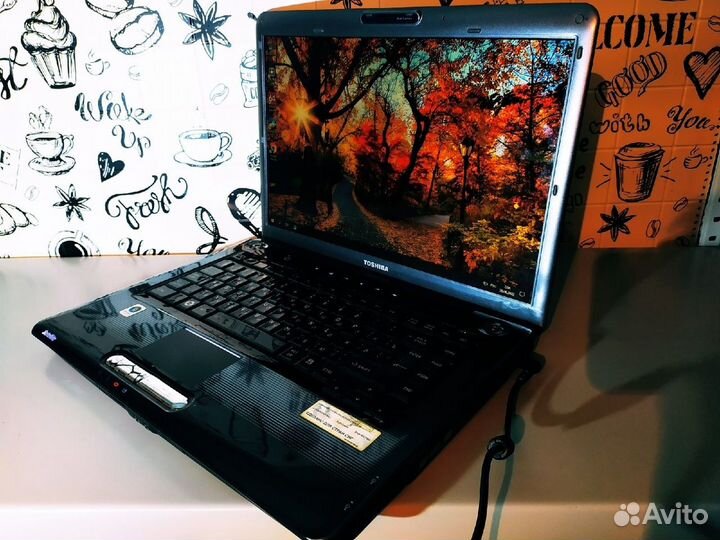 Toshiba A300-149 - 2 Ядра \ 2 Озу \ 80 HDD