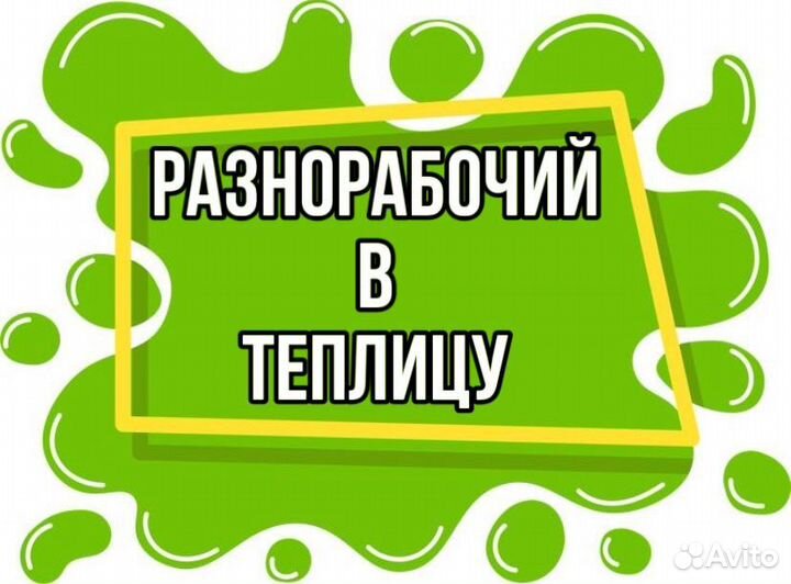 Разнорабочий в теплицу(еженедельные выплаты)