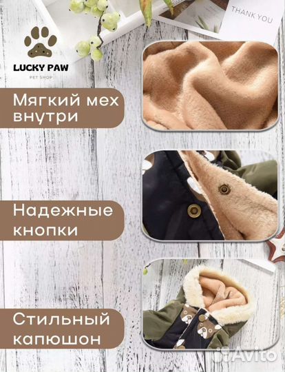 Комбинезон для маленькой собаки 2XL