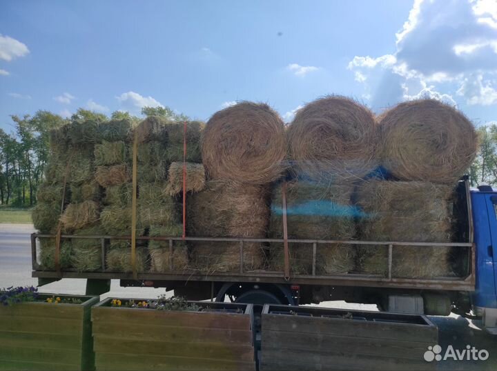 Сено в рулонах и брикетах Доставка