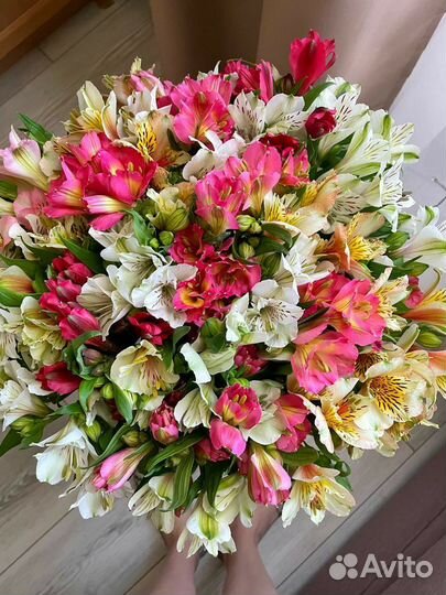 Букет из альстромерий 21/31/51 доставка Астрахань