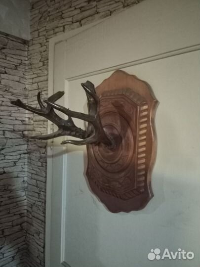 Рога косули