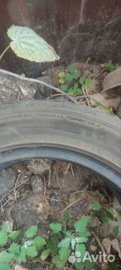 Yokohama Advan Fleva V701 205/55 R16