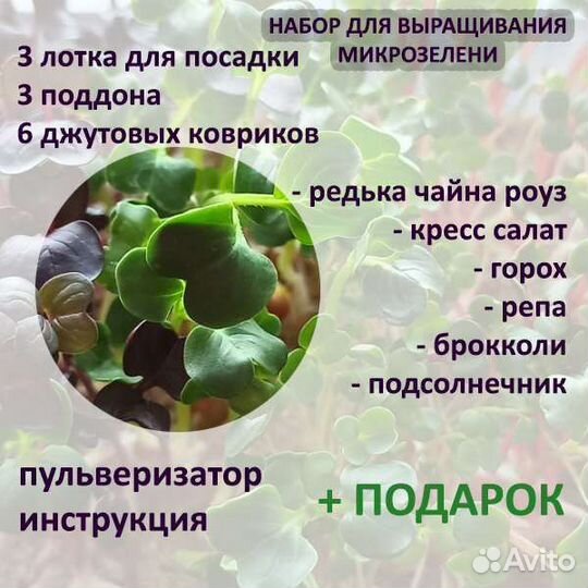Наборы для выращивания микрозелени
