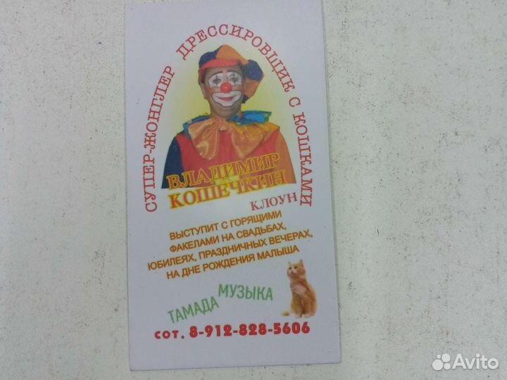 Вятский театр кошек