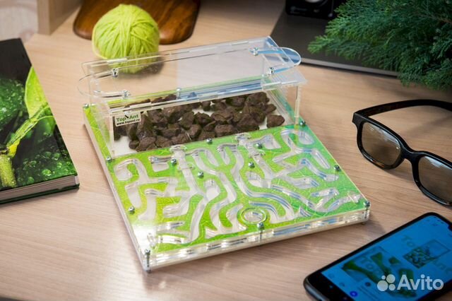Формикарий/ Подарок для ребенка/ Муравьиная ферма купить в Пензе ...