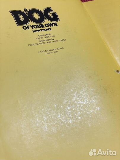 Джоан Палмер:Ваша собака