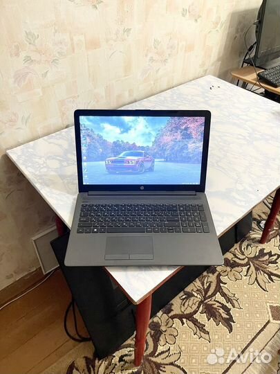 HP 255 G7 Ryzen 5 3500U/128+1000/8Gb/FullHD