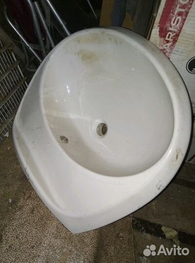 Раковина тюльпан