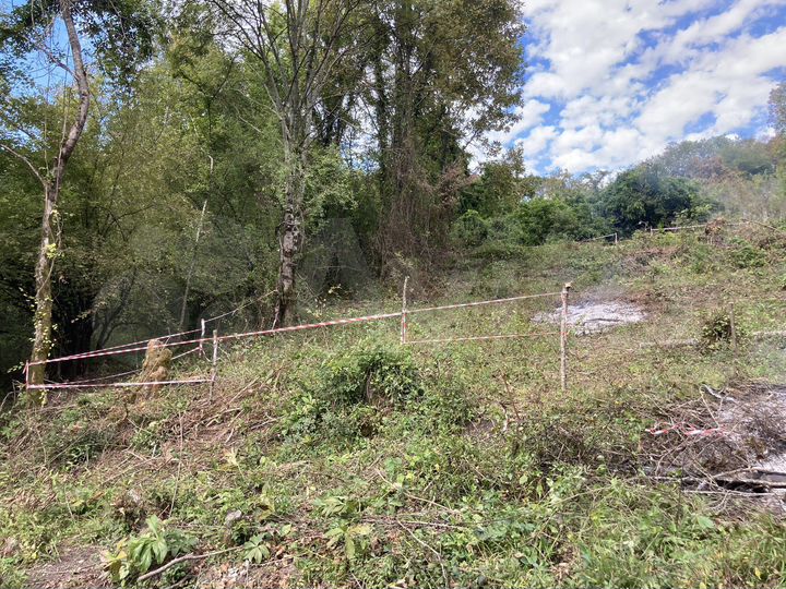 Участок 5,3 сот. (СНТ, ДНП)