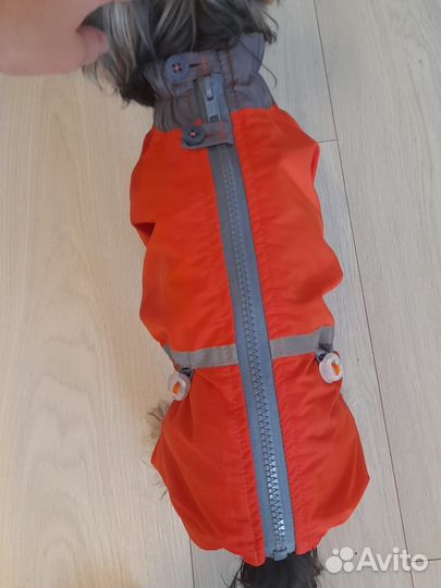 Костюм демисезонный на собаку (девочку)