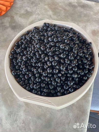 Вкусные закатки из своего сада