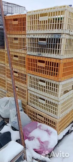 Клетки для перевозки птицы