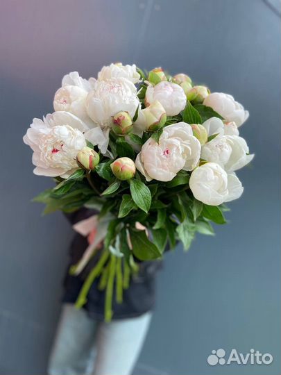 Букет из пионов
