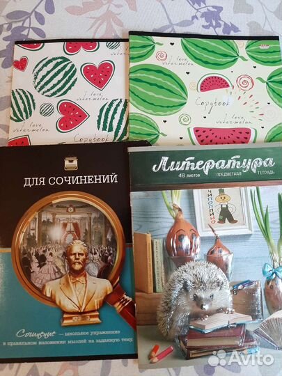 Тетрадь 48 листов