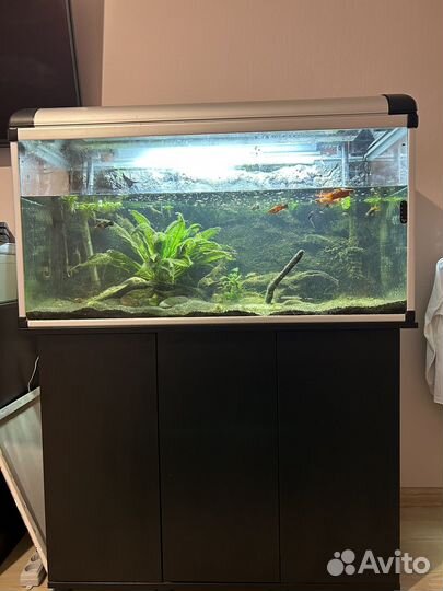 Аквариум с тумбой 200 литров