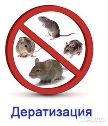 Бугры Уничтожение насекомых Дезинфекция