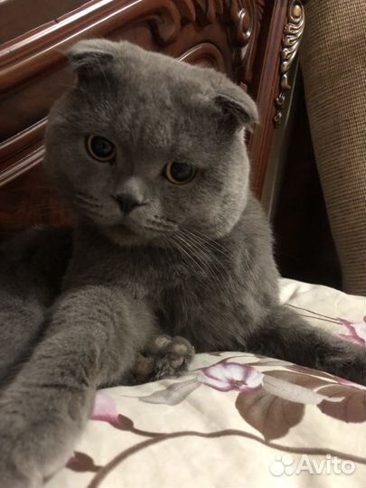 Вязка
