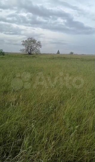 Участок 8,6 сот. (ИЖС)