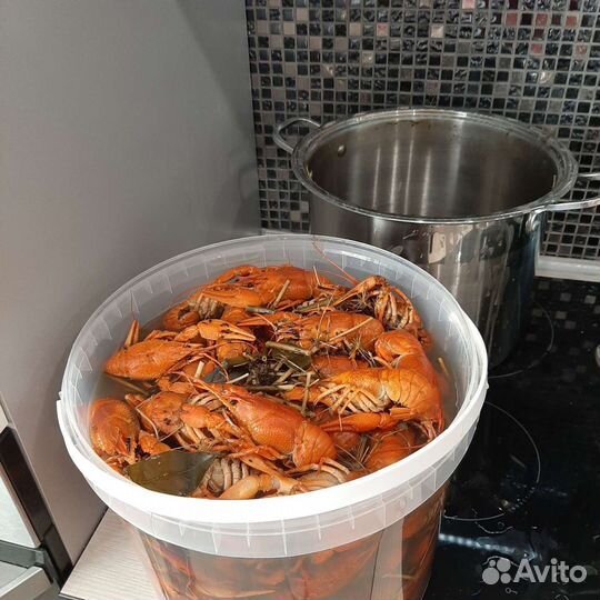 Продажа Волжского рака