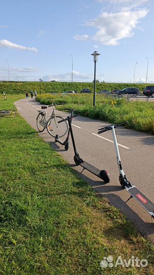 Прогулки в Завидово