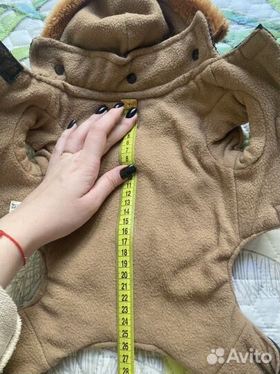 Обувь для собак 1