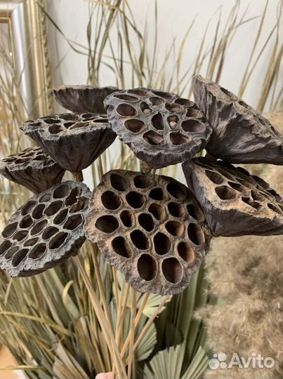 Лотос натуральный на ножке