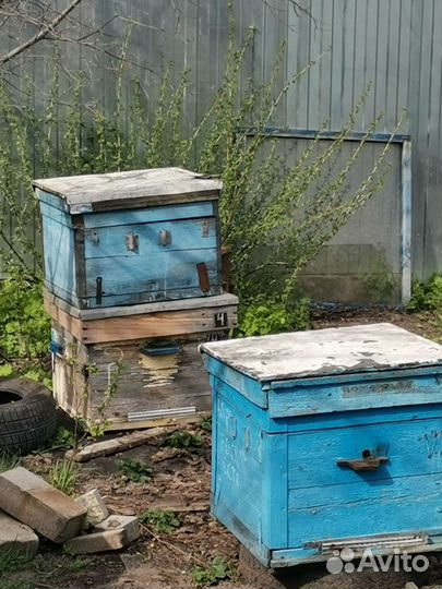 Рамки и ульи для пчел