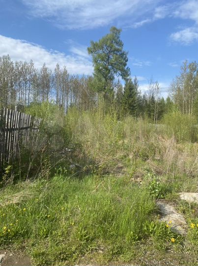 Участок 11 сот. (СНТ, ДНП)