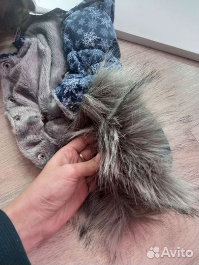 Жилетка для кошек и собак