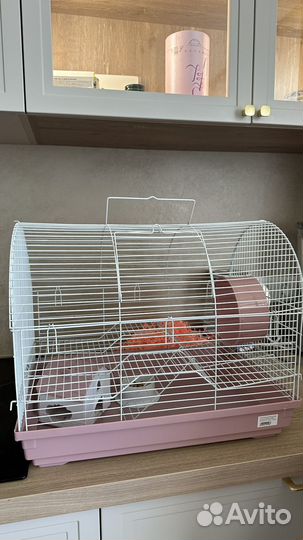 Хомяки вместе с клеткой