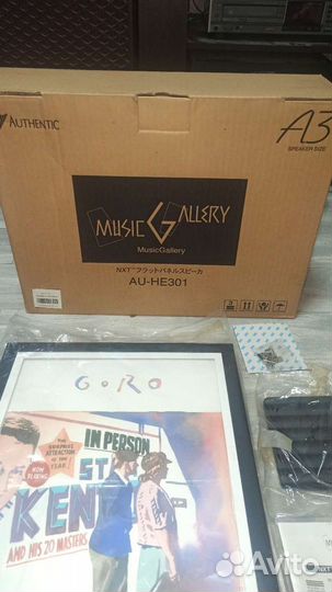 Акустическая картина (колонка) Authentic AU-HE301