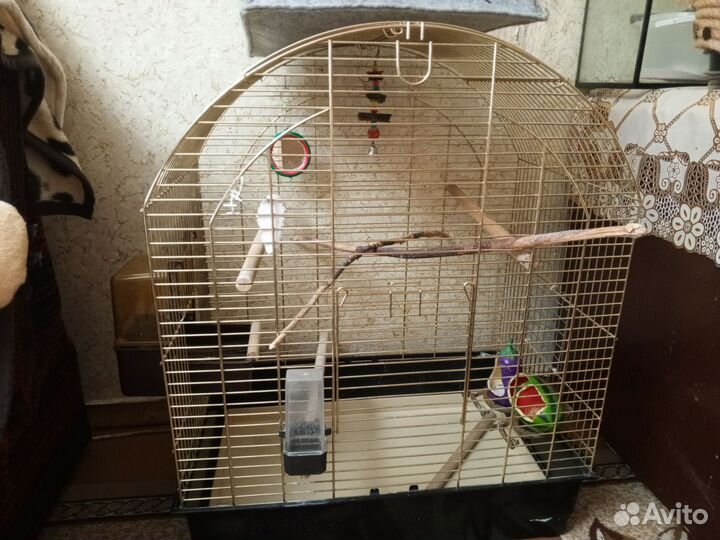 Клетка для попугая