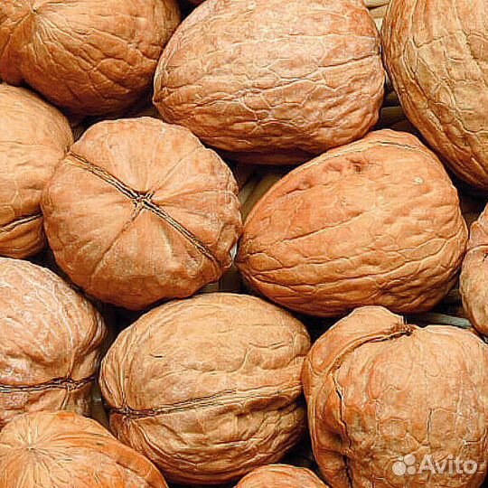 Грецкий орех неочищенный