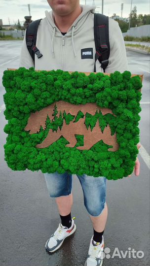 Картина со стабилизированным мхом