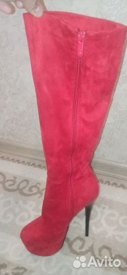 Сапоги ботфорты женские 36 размер
