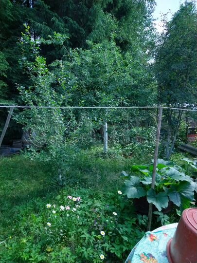 Дом 58,2 м² на участке 7,4 сот.