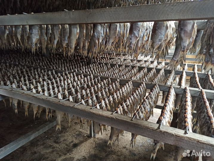 Астраханская вобла вяленая