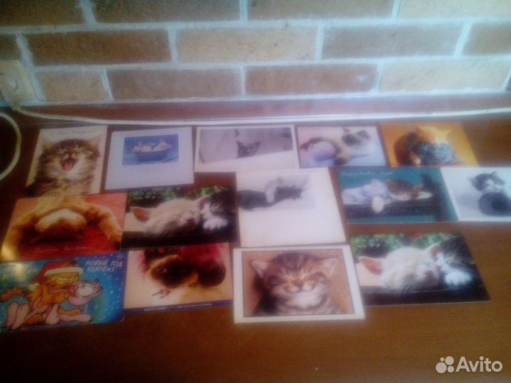 Открытки кошки новые