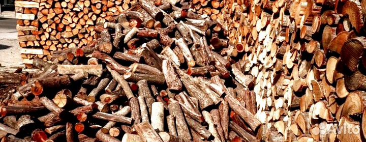 Дрова оптом