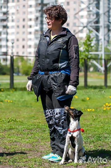 Танцы с собаками и трюковая дрессировка