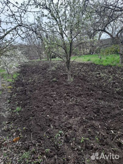 Благоустройство сада