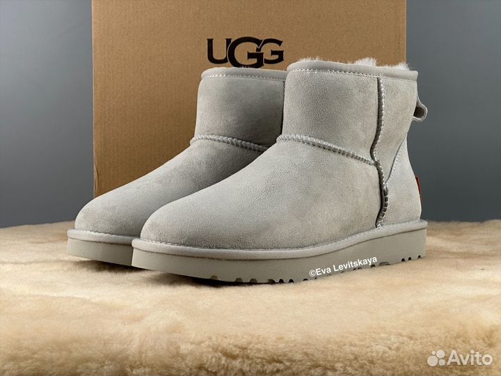 Угги женские Ugg Classic Mini II Grey-Violet