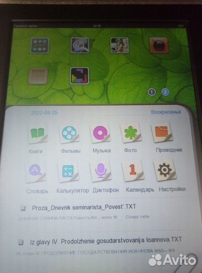 Электронная книга Ritmix-470