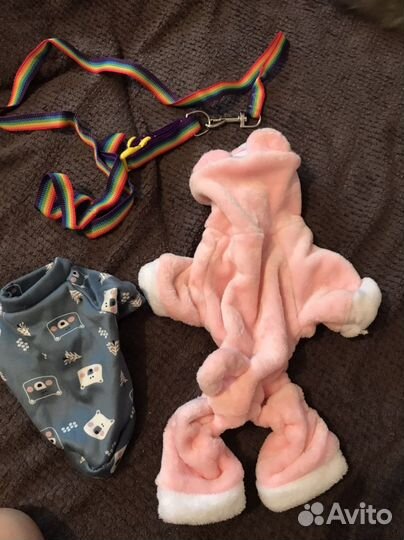 Вещи для собачки