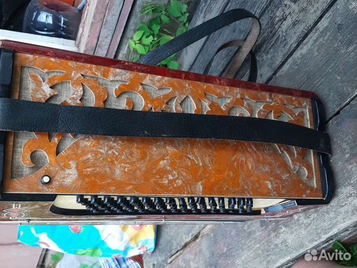 Аккордеон Tenora