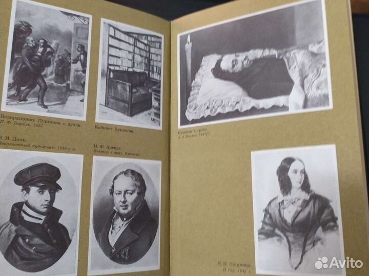 Редкую книгу Последний год жизни Пушкина