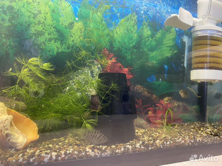 Декор для аквариума. Дом сквидворда