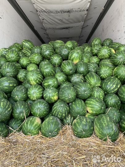 Арбузы свежие Казахстан отборные вкусные